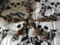 five wooden skulls on a black and white background